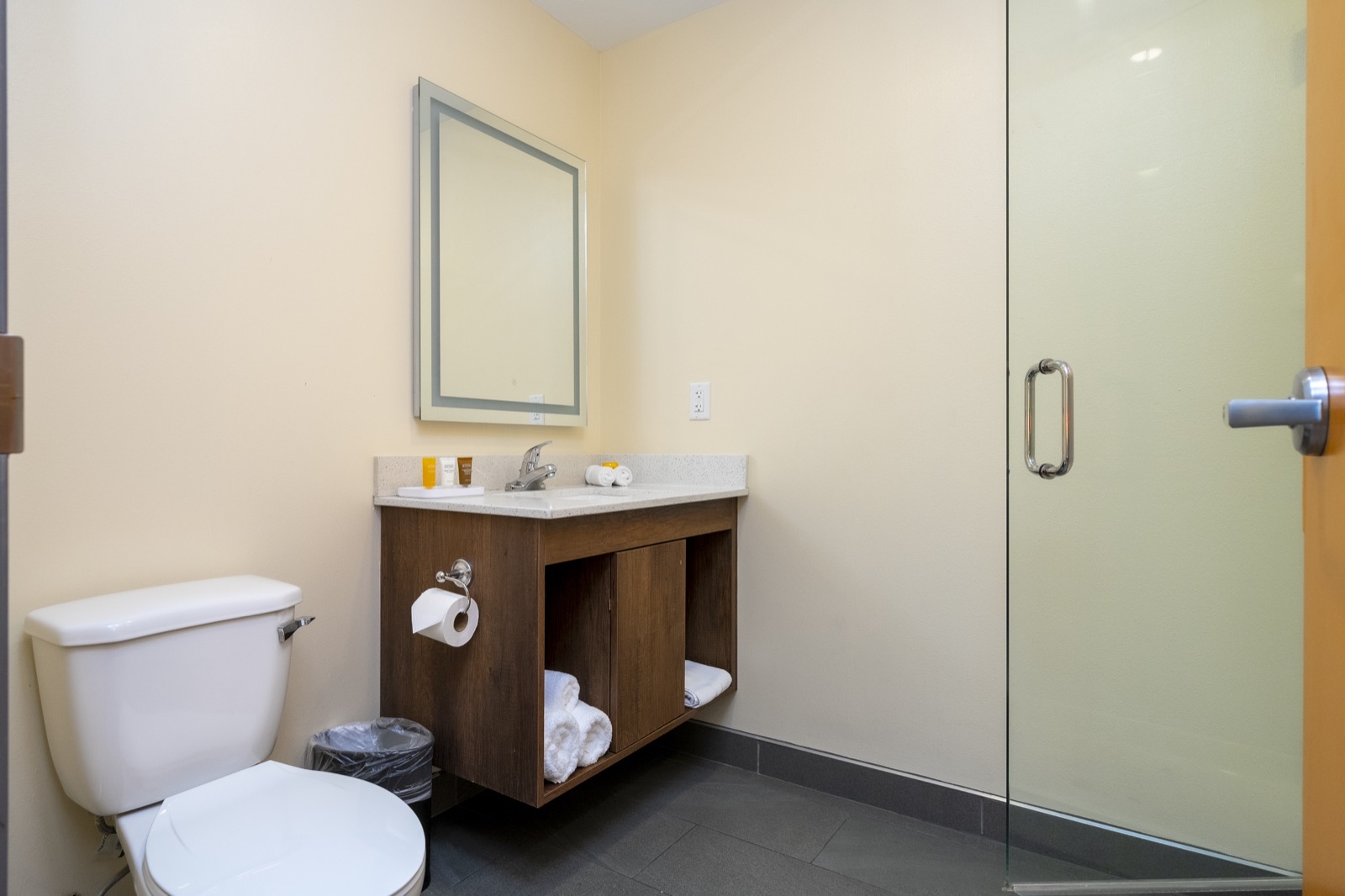 SPOT X Hotel Orlando — Walk-in shower